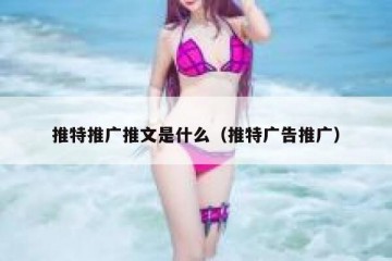 推特推广推文是什么（推特广告推广）