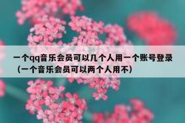 一个qq音乐会员可以几个人用一个账号登录（一个音乐会员可以两个人用不）