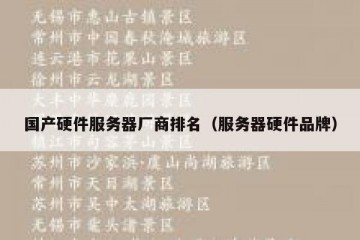 国产硬件服务器厂商排名（服务器硬件品牌）