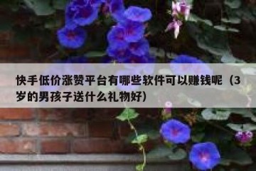 快手低价涨赞平台有哪些软件可以赚钱呢（3岁的男孩子送什么礼物好）