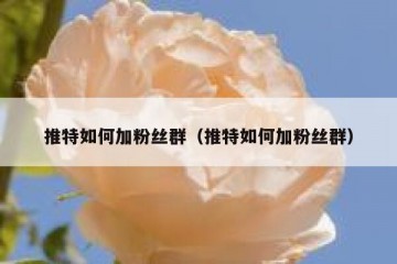 推特如何加粉丝群（推特如何加粉丝群）