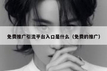 免费推广引流平台入口是什么（免费的推广）