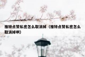 推特点赞私密怎么取消掉（推特点赞私密怎么取消掉啊）
