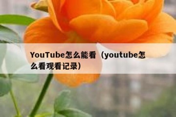 YouTube怎么能看（youtube怎么看观看记录）