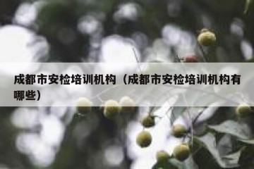 成都市安检培训机构（成都市安检培训机构有哪些）