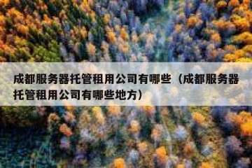 成都服务器托管租用公司有哪些（成都服务器托管租用公司有哪些地方）