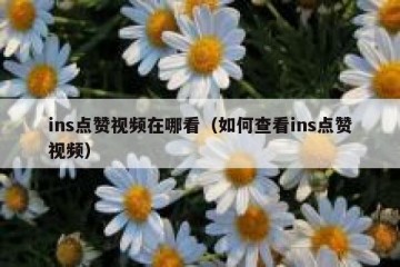 ins点赞视频在哪看（如何查看ins点赞视频）