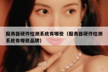 服务器硬件检测系统有哪些（服务器硬件检测系统有哪些品牌）