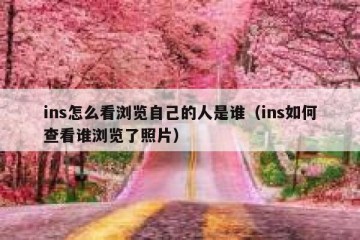 ins怎么看浏览自己的人是谁（ins如何查看谁浏览了照片）