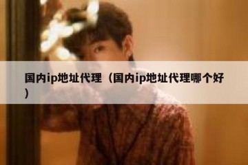 国内ip地址代理（国内ip地址代理哪个好）