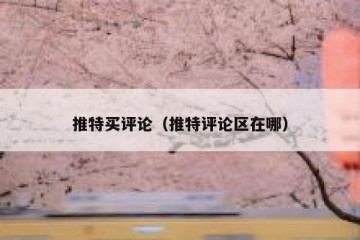 推特买评论（推特评论区在哪）