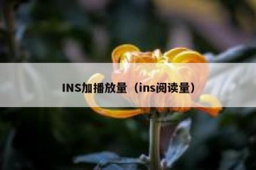 INS加播放量（ins阅读量）