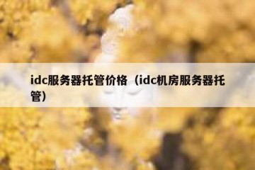 idc服务器托管价格（idc机房服务器托管）