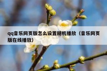 qq音乐网页版怎么设置随机播放（音乐网页版在线播放）