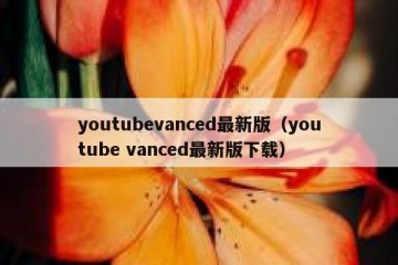 youtubevanced最新版（youtube vanced最新版下载）