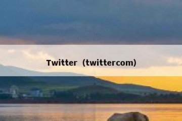 Twitter（twittercom）
