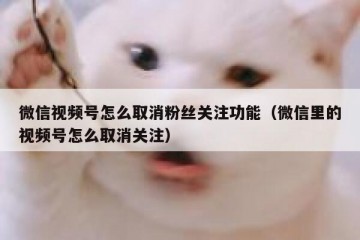 微信视频号怎么取消粉丝关注功能（微信里的视频号怎么取消关注）