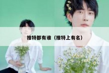 推特都有谁（推特上有名）
