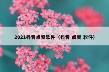 2021抖音点赞软件（抖音 点赞 软件）