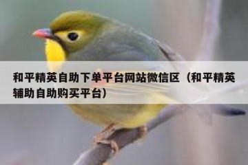 和平精英自助下单平台网站微信区（和平精英辅助自助购买平台）