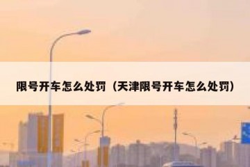 限号开车怎么处罚（天津限号开车怎么处罚）