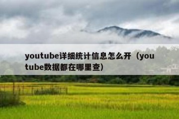 youtube详细统计信息怎么开（youtube数据都在哪里查）