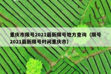重庆市限号2021最新限号地方查询（限号2021最新限号时间重庆市）
