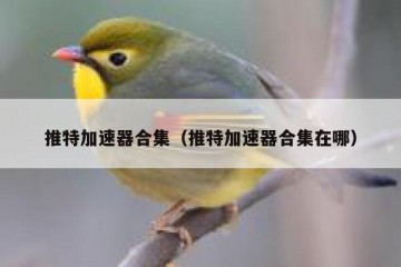 推特加速器合集（推特加速器合集在哪）