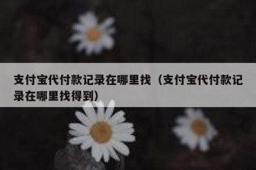 支付宝代付款记录在哪里找（支付宝代付款记录在哪里找得到）