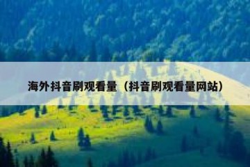 海外抖音刷观看量（抖音刷观看量网站）