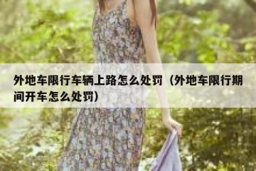 外地车限行车辆上路怎么处罚（外地车限行期间开车怎么处罚）