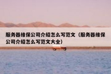 服务器维保公司介绍怎么写范文（服务器维保公司介绍怎么写范文大全）