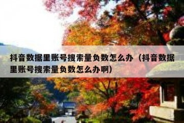 抖音数据里账号搜索量负数怎么办（抖音数据里账号搜索量负数怎么办啊）