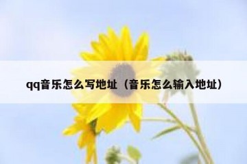 qq音乐怎么写地址（音乐怎么输入地址）