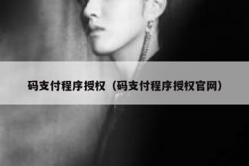 码支付程序授权（码支付程序授权官网）