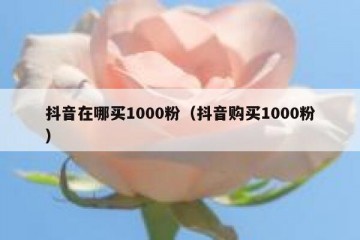 抖音在哪买1000粉（抖音购买1000粉）