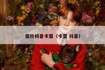 低价抖音卡盟（卡盟 抖音）