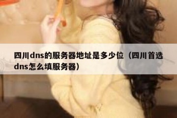 四川dns的服务器地址是多少位（四川首选dns怎么填服务器）