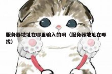 服务器地址在哪里输入的啊（服务器地址在哪找）
