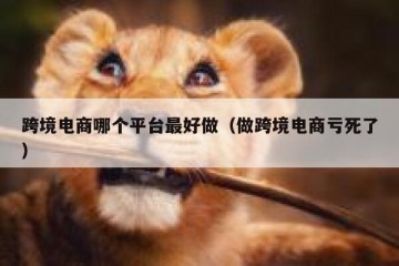 跨境电商哪个平台最好做（做跨境电商亏死了）