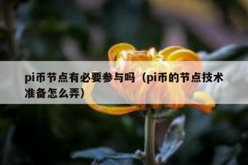 pi币节点有必要参与吗（pi币的节点技术准备怎么弄）