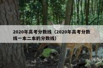 2020年高考分数线（2020年高考分数线一本二本的分数线）