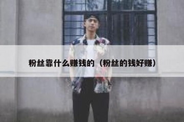 粉丝靠什么赚钱的（粉丝的钱好赚）