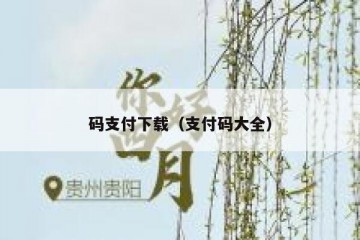 码支付下载（支付码大全）