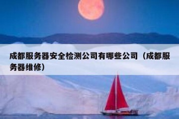 成都服务器安全检测公司有哪些公司（成都服务器维修）