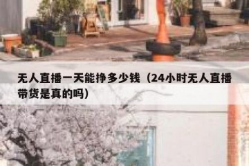 无人直播一天能挣多少钱（24小时无人直播带货是真的吗）