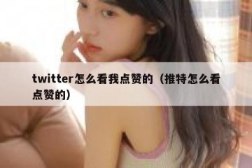 twitter怎么看我点赞的（推特怎么看点赞的）