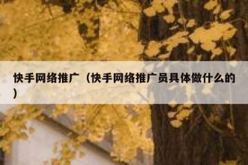 快手网络推广（快手网络推广员具体做什么的）