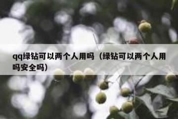 qq绿钻可以两个人用吗（绿钻可以两个人用吗安全吗）