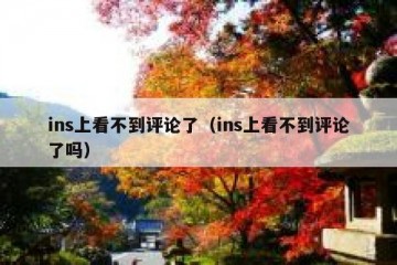 ins上看不到评论了（ins上看不到评论了吗）
